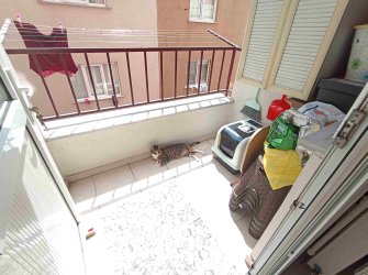 Şeref Emlak'tan Gaziosmanpaşa Pazariçi Mahallesinde Satılık Daire  99301481